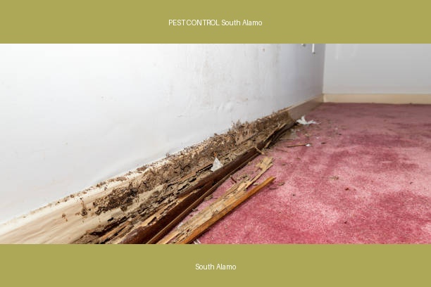PEST CONTROL South Alamo